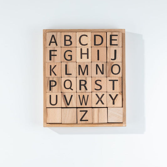 Wooden Alphabet & Number Learning Blocks with Storage Tray | Educational ABC & 123 Building Blocks | Montessori Early Learning Toy for Kids | Wooden Stacking Puzzle Gift for Boys & Girls